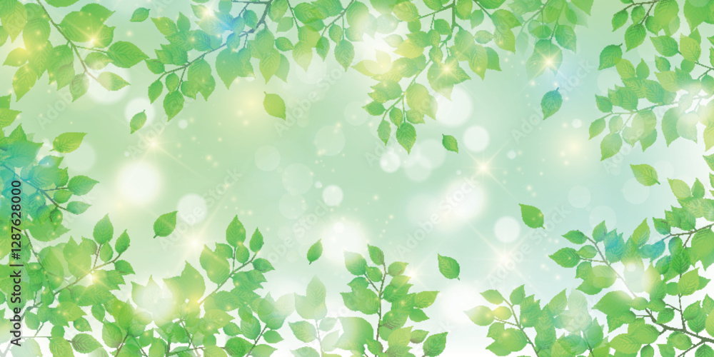 Fototapeta premium 新緑 葉 風景 背景