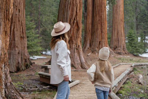 woman with child tourists walking among giant trees in the forest in Sequoia National Park, USA. 