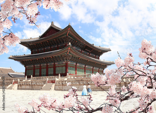 Photography Sakura blossoming season