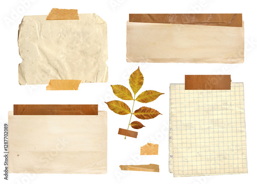Collection of vintage elements for scrapbooking. Nostalgic set of retro paper, fixed adhesive tape stripes, dry pressed leaf, paper tag. Mockup template. Isolated on white background