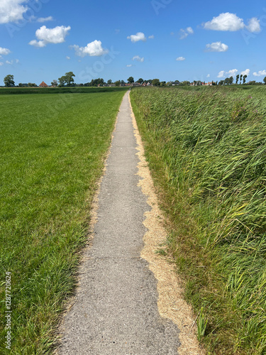 Obraz na płótnie Small path around Lytsewierrum w salonie