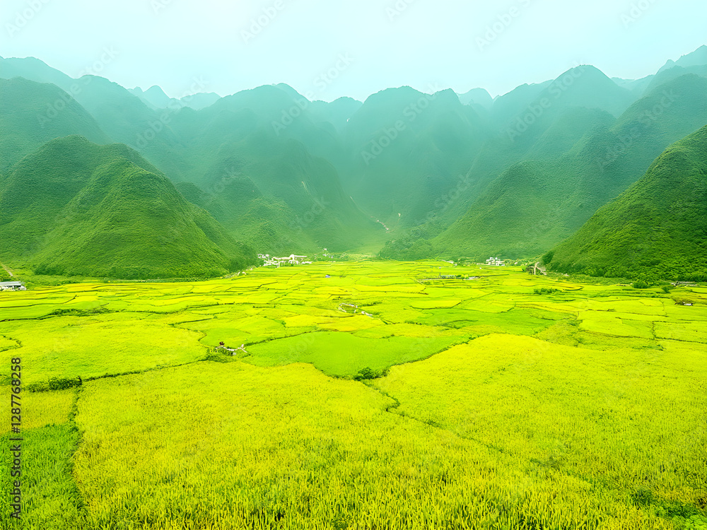 自然景观田野山脉花卉 自然景观田野山脉花卉