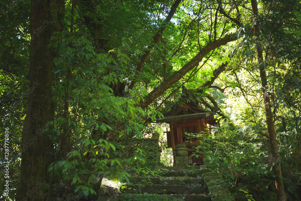 old Japanese small abandon shinto shrine with green forest
old Japanese small abandon shinto shrine with green forest