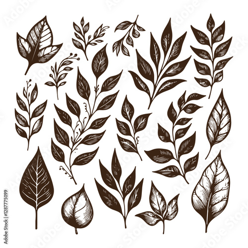 High-quality vintage leaf illustration with intricate details, perfect for artistic and creative projects, retro-style prints, and unique digital assets