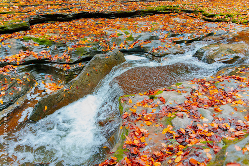Beautiful Autumn in Watkins Glen State Park
