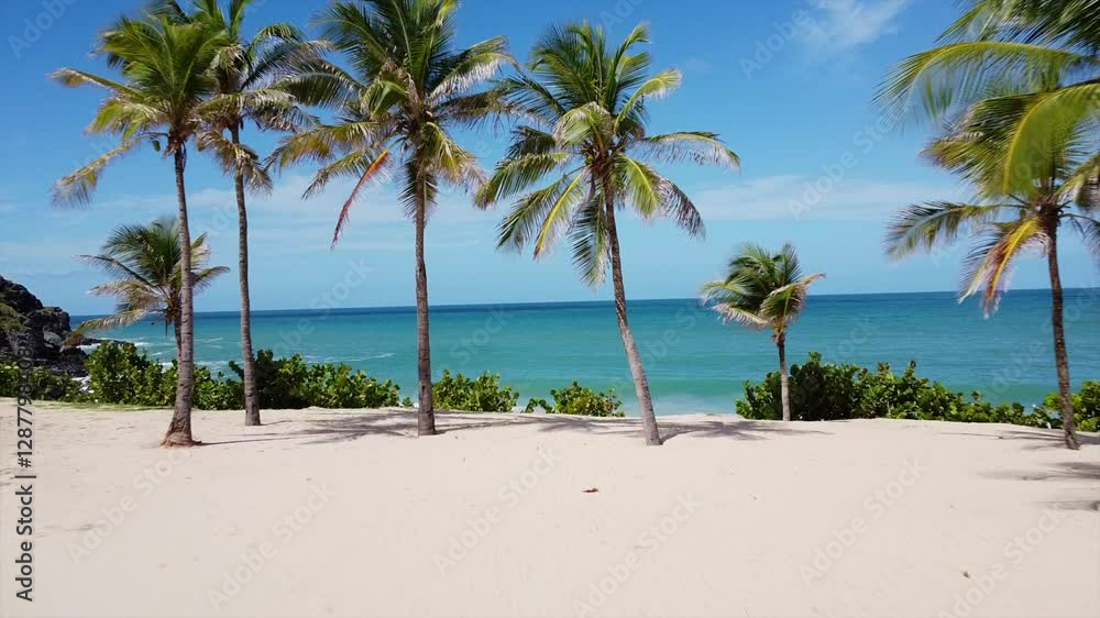 A scenic aerial view of Zaragosa Beach with calm waves, sand, and palm trees A scenic aerial view of Zaragosa Beach with calm waves, sand, and palm trees