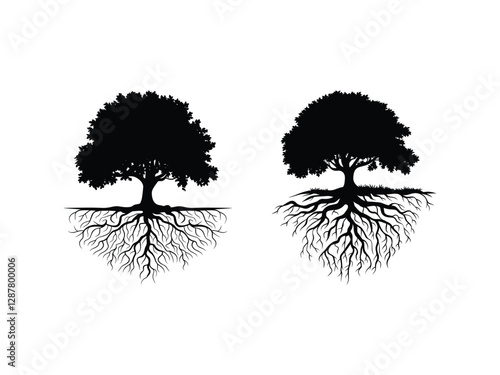 Christian Bible Verse Silhouette
