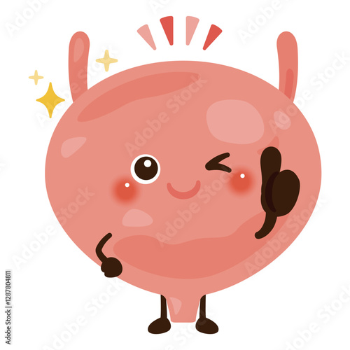 グッドサインを出す膀胱のキャラクターイラスト