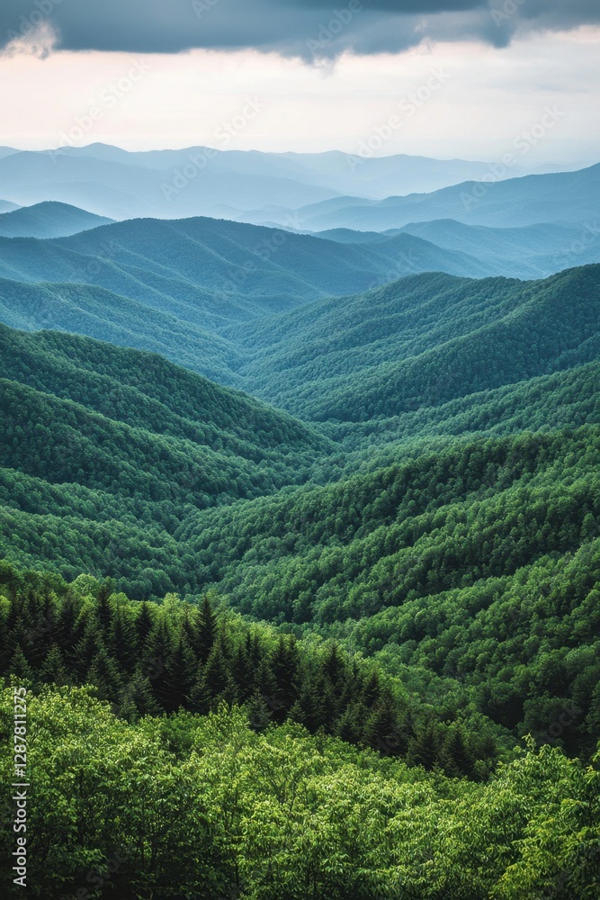 Serene vista of rolling green mountains and lush forest under a cloudy sky evoking peace and tranquility in nature Serene vista of rolling green mountains and lush forest under a cloudy sky evoking peace and tranquility in nature