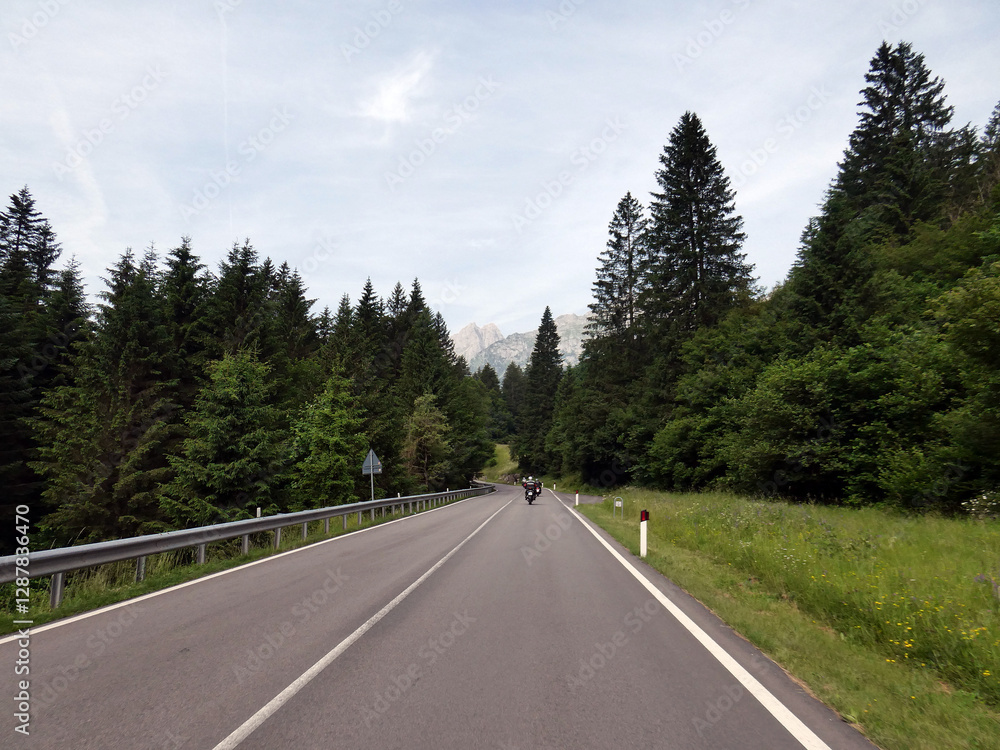 Fototapeta premium SS421 zwischen Andalo und Malfein