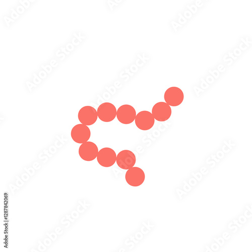 streptococcus pyogenes