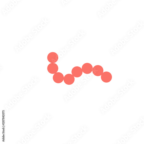 streptococcus pyogenes
