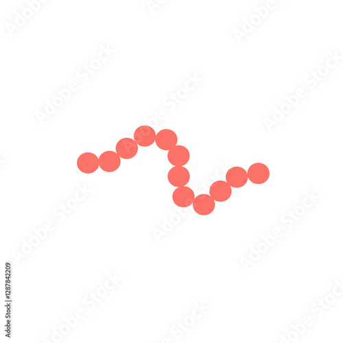 streptococcus pyogenes