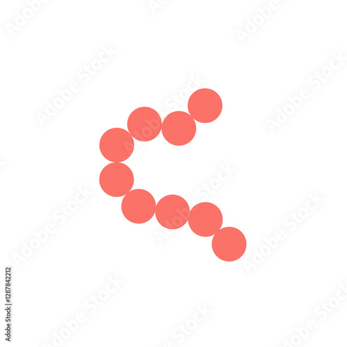streptococcus pyogenes