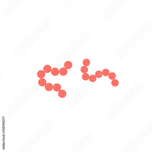 streptococcus pyogenes