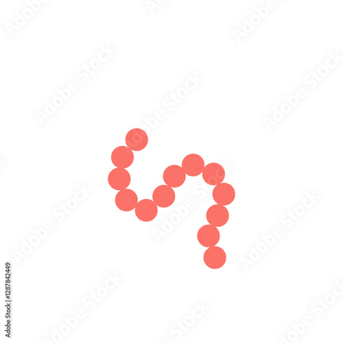 streptococcus pyogenes