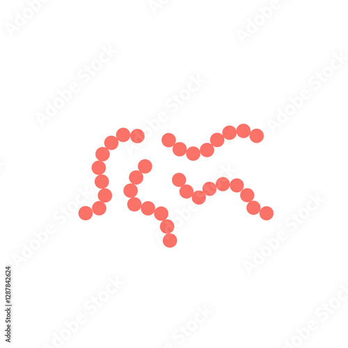 streptococcus pyogenes