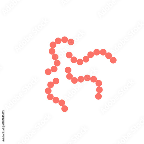 streptococcus pyogenes