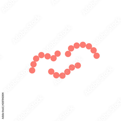 streptococcus pyogenes