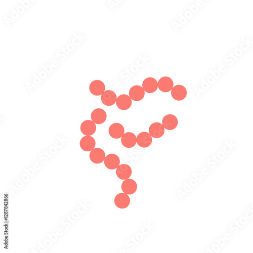 streptococcus pyogenes