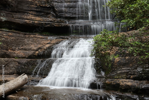 Tasmanian Primary forest dark Waterfall
