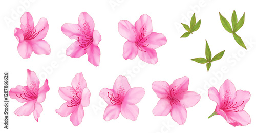 Wallpaper Mural 手描きのつつじ Torontodigital.ca