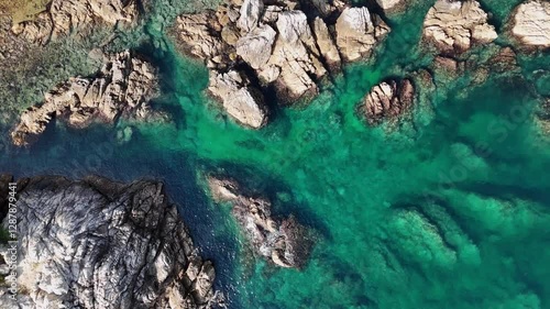 a sea of jade