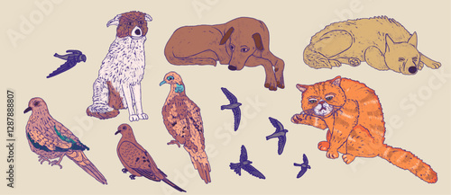 Street animals and birds individual sticker set. Dogs, cats, swallows, swifts, pigeons. Taking care of a pet illustration in retro style isolated on a transparent background.