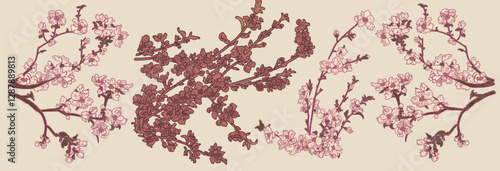 Pink sakura, white cherry blossoms. Four spring tree branches. Botanical floral elements isolated on transparent background. Natural retro png stickers for asian traditional design