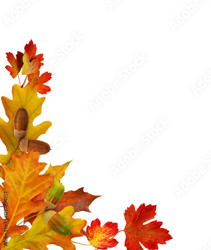 Red autumn leaves and acorn...