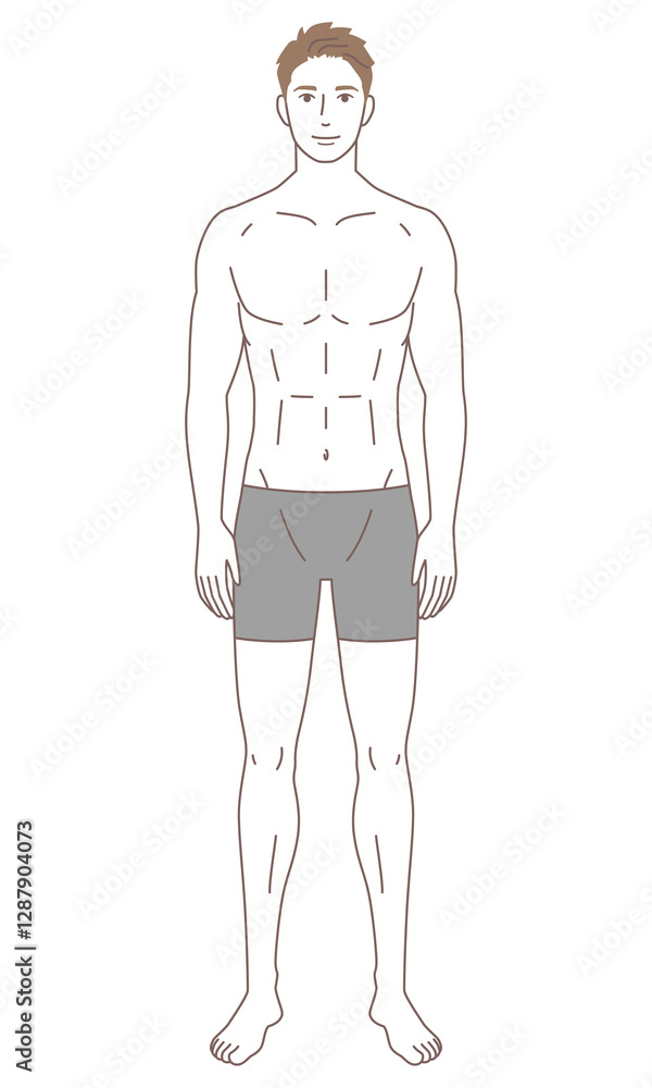 Fototapeta premium 男性 体型 骨格モデル