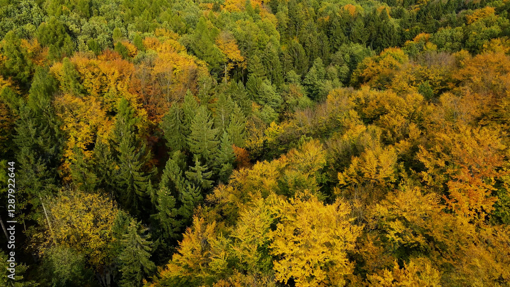 autumn landscape view from above hill forest autumn landscape view from above hill forest
