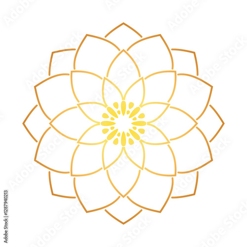 gold lotus flower line illustration top view