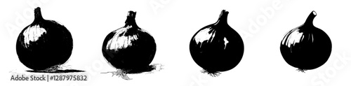A solitary raw red onion bulb serves as a vegetable, accompanied by a purple shallot that is farm fresh and harvested naturally, representing a healthy food or culinary seasoning ingredient, depicted