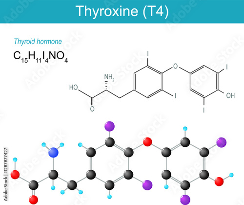 Thyroxine molecule. Molecular chemical structural formula and model of T4.