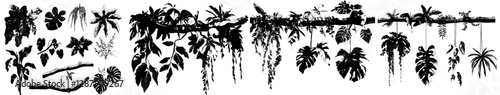 A cartoon depiction of a tropical jungle features a forest liana branch, modern vines, and a tree with a plant thicket, showcasing rainforest climbing and hanging roots, leaves, and green foliage