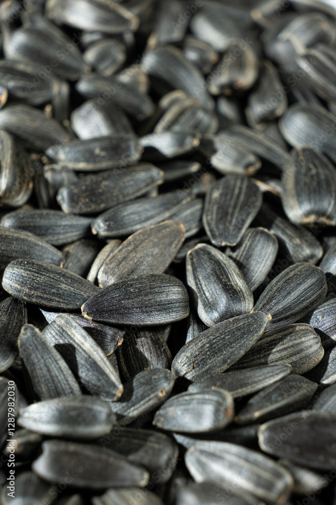 Crunchy Roasted Sunflower Seeds Close-Up Crunchy Roasted Sunflower Seeds Close-Up