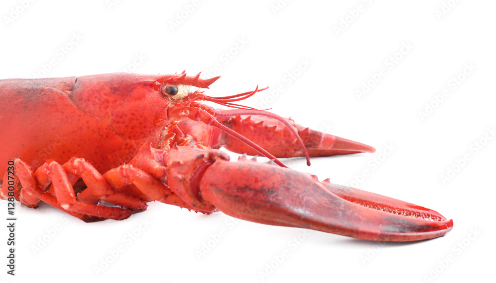 One tasty boiled lobster isolated on white One tasty boiled lobster isolated on white