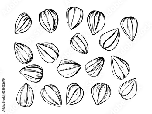 Buckwheat seeds sketch engraved vector illustration. Hand drawn buckwheat groats pile, cereal crops. Agriculture plant harvest. Vegan organic food isolated ink style.