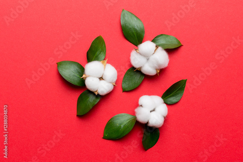 Autumn Floral Flat lay background composition. Dried white fluffy cotton flower branchwith green leaf top view on colored table with copy space photo