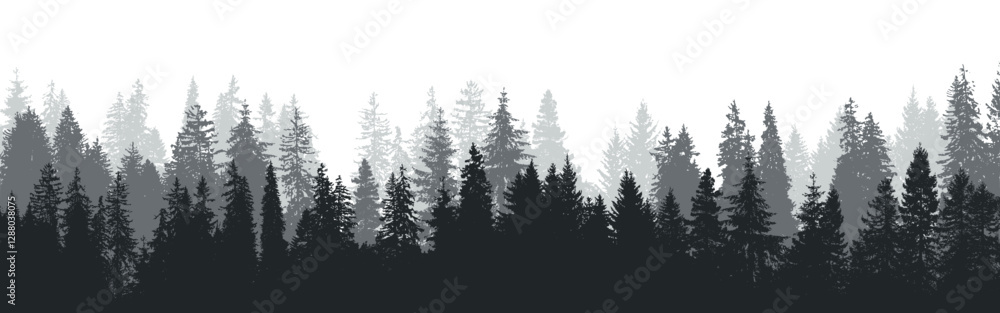 Forest landscape, fir tree silhouette, pine background