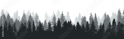 Forest landscape, fir tree silhouette, pine background