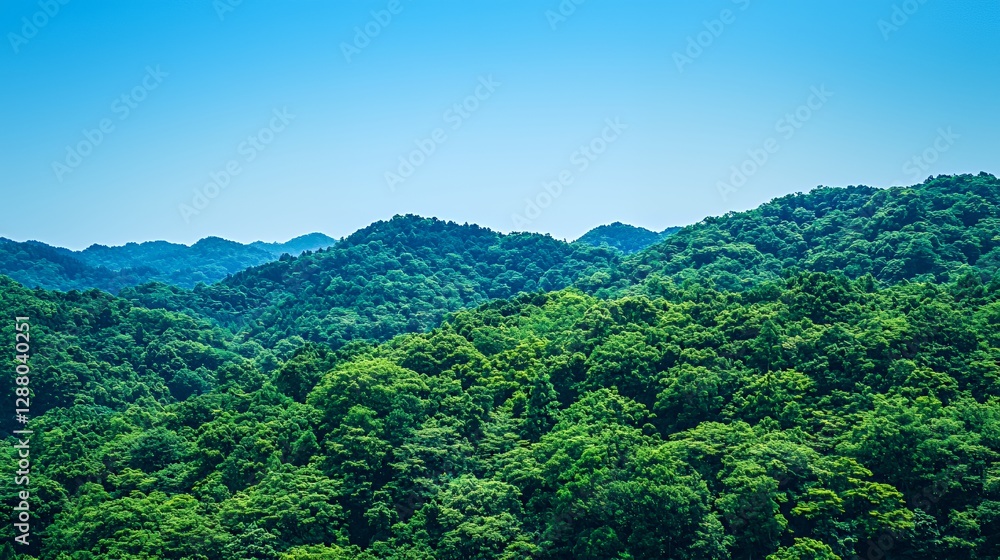 Lush Green Hills Under a Clear Blue Sky Lush Green Hills Under a Clear Blue Sky