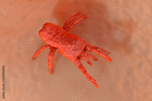 3D Rendered Illustration visualization of orange mite on skin photo