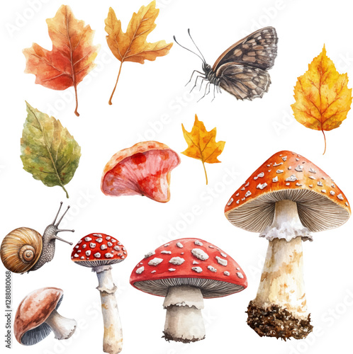 Set of watercolor autumn elements on a white background