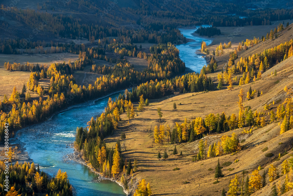 Fototapeta premium Serene autumn valley with a scenic river flowing between golden trees and green meadows, showcasing natural beauty and tranquility with vibrant colors and daytime sunlight.