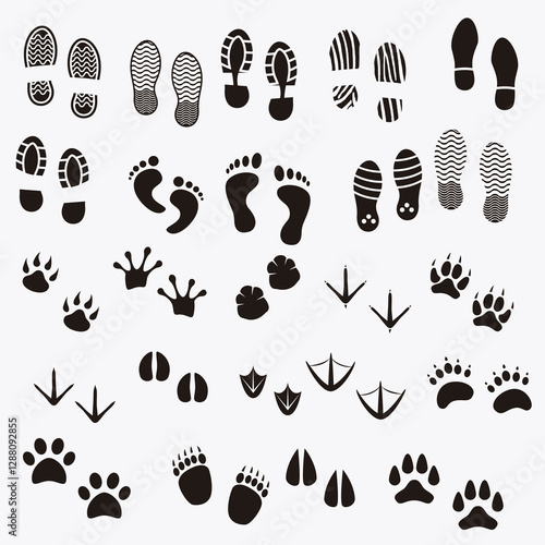 Footprints shadows animals human 01