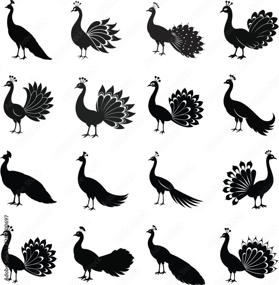 Naklejka premium set of peacock silhouette vector 