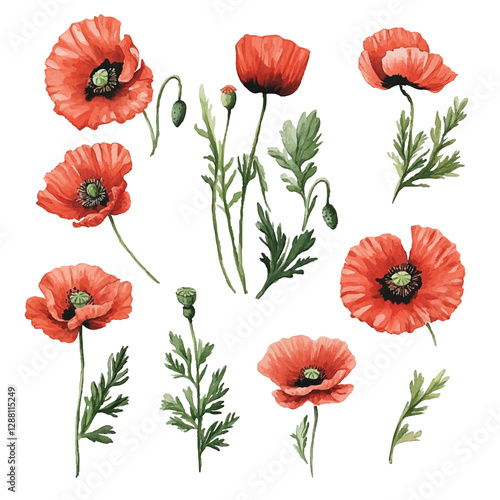 Adobe Illustrator Artwork