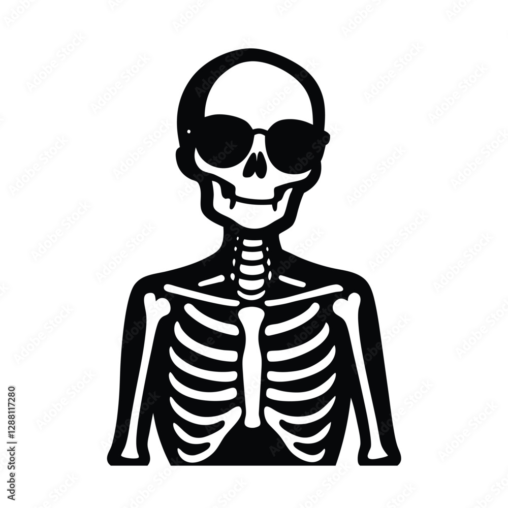 3d human skull 3d human skull